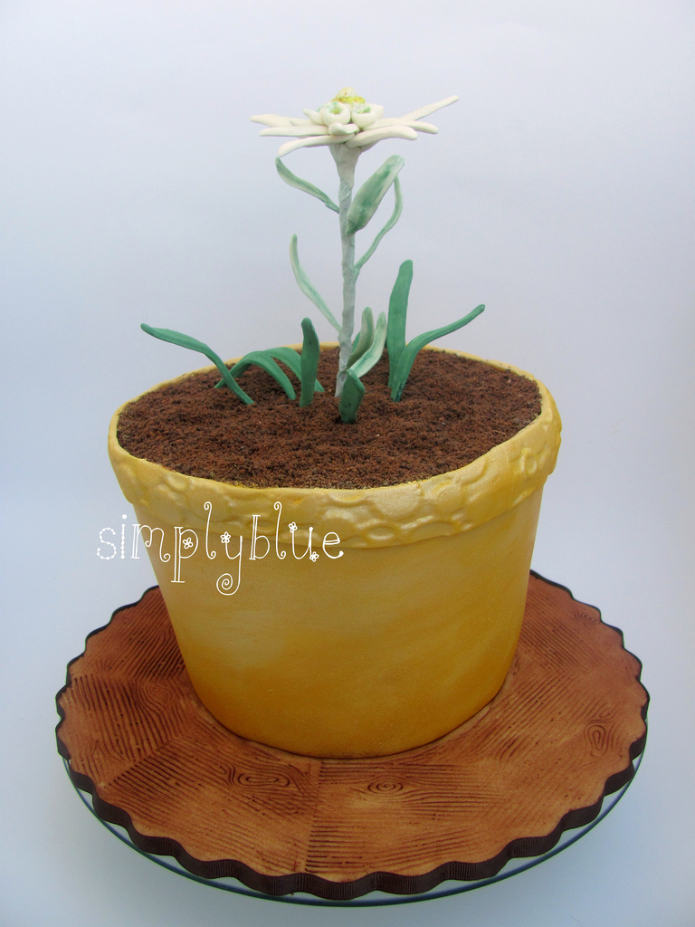 cake edelweiss