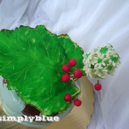 4-то Тортено предизвикателство – Юли 2009